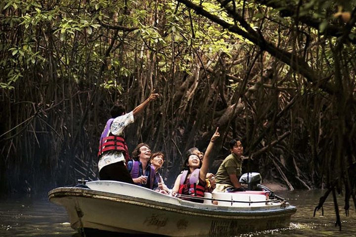 Langkawi UNESCO Kilim Geopark Mangrove & Bat Cave Tour