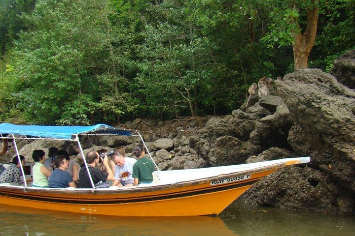 Langkawi UNESCO Kilim Geopark Mangrove & Bat Cave Tour