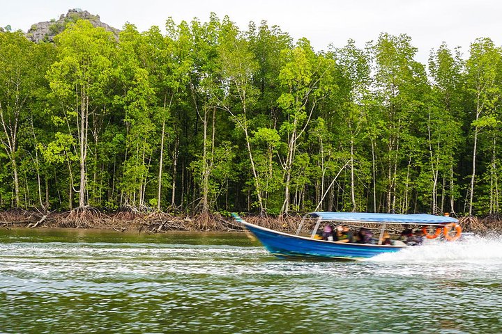 Langkawi UNESCO Kilim Geopark Mangrove & Bat Cave Tour