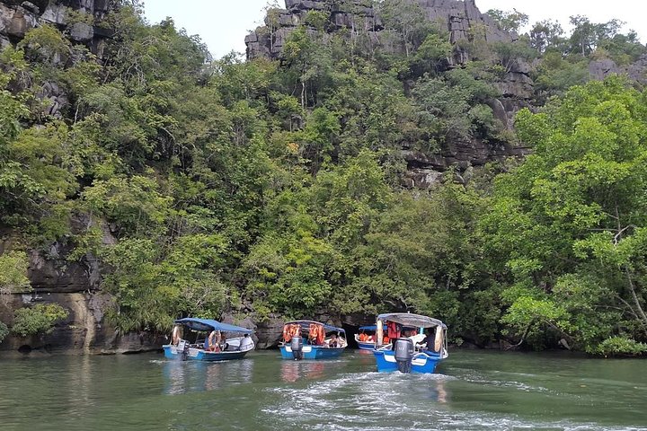 Langkawi UNESCO Kilim Geopark Mangrove & Bat Cave Tour