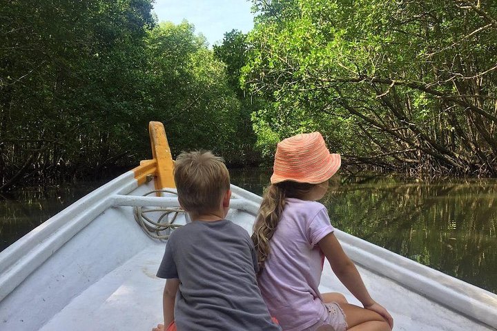 Langkawi UNESCO Kilim Geopark Mangrove & Bat Cave Tour