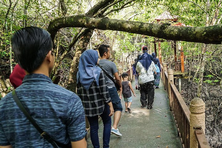 Langkawi UNESCO Kilim Geopark Mangrove & Bat Cave Tour