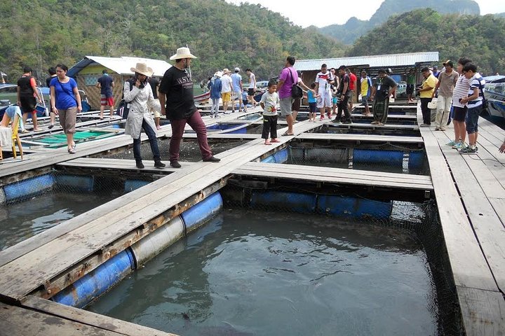 Langkawi UNESCO Kilim Geopark Mangrove & Bat Cave Tour