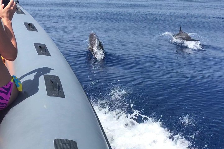 Tropea & Capo Vaticano Boat Tour with Snorkeling. Up to 12 Guests