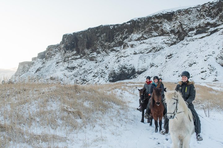 Black Sand Beach Horse Riding Tour from Vik