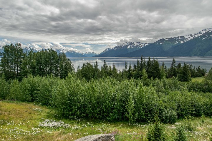 Glaciers and Wildlife: Super Scenic Day Tour from Anchorage