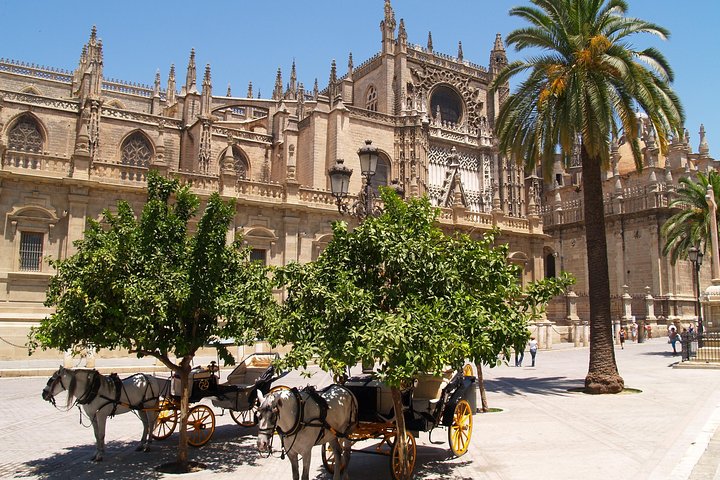 Alcazar, Cathedral and Giralda Guided Tour with Priority Tickets