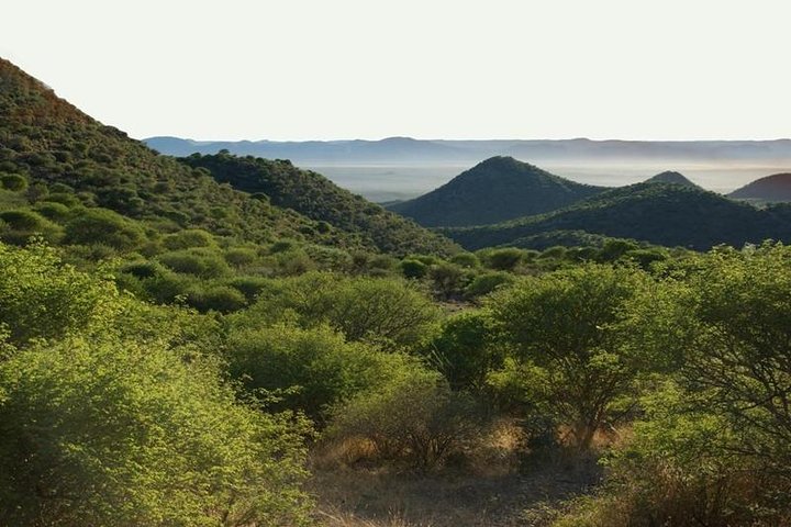 Okapuka Game Drive