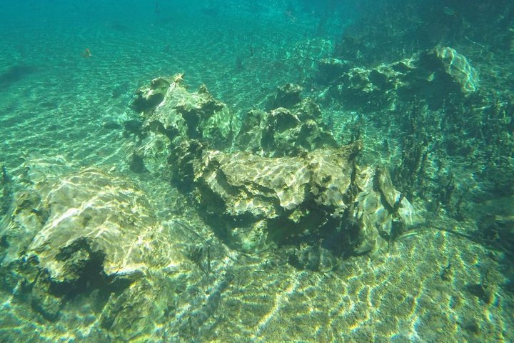 Skip the Line:Recanto Ecologico Rio da Prata Ticket including Trail & Snorkeling