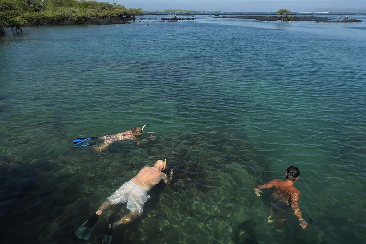 Los Tuneles Day Tour: Snorkeling, Exploring and Swimming With Wildlife