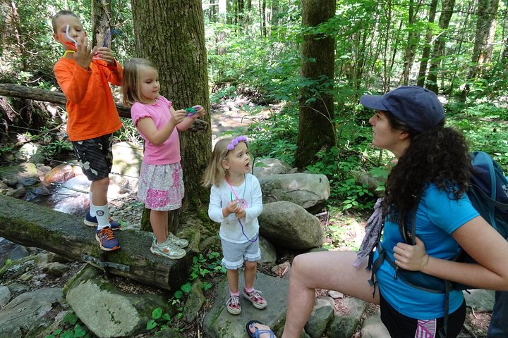 Sharing Nature with Children: Hands-On Smoky Mountain Discovery