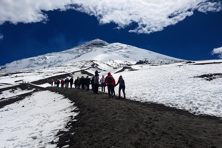 Cotopaxi Full-Day from Quito Including Entrances