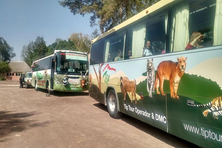 Africam Safari Zoo Admission with Transportation
