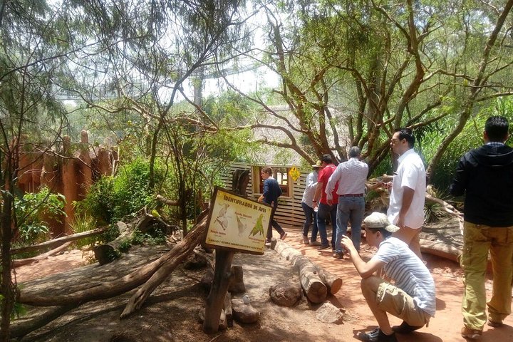 Africam Safari Zoo Admission with Transportation