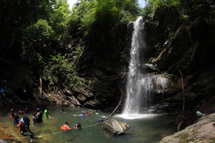 Hidden Gem: Avocat Waterfall Hike & Beach Stop in Trinidad