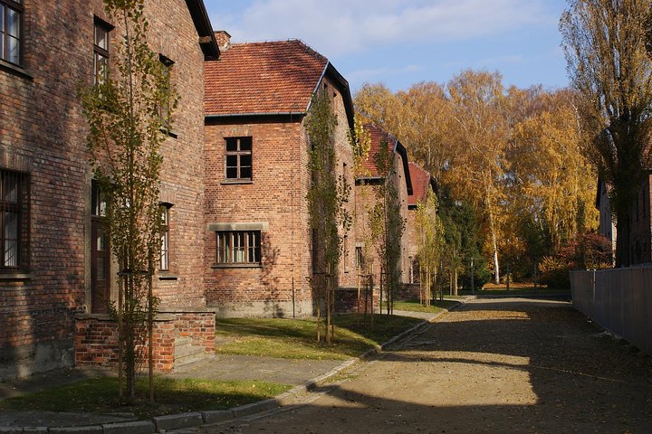 Krakow to Auschwitz Birkenau Guided Tour with Transfer and Ticket