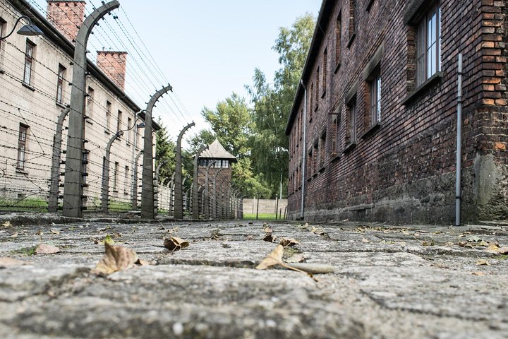 Krakow to Auschwitz Birkenau Guided Tour with Transfer and Ticket