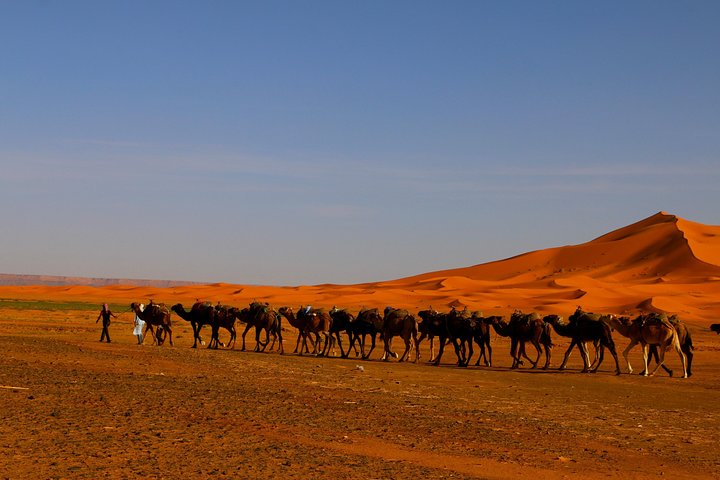 Merzouga Dunes and Berber Culture Private Day Trip with Lunch
