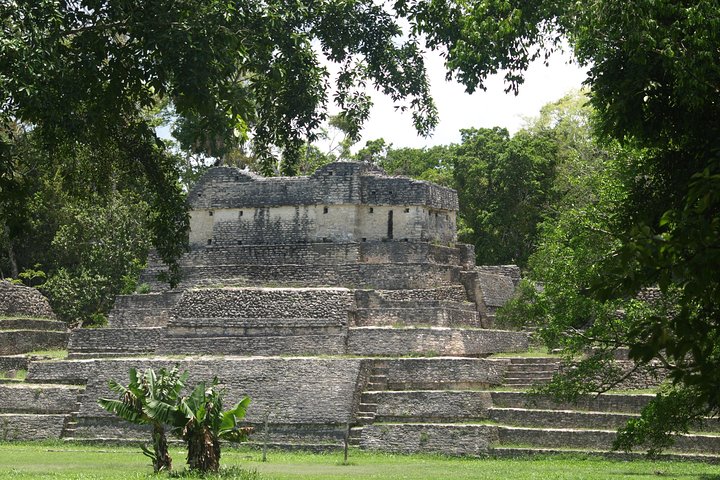 Caracol Day Trip & Water Falls from San Ignacio