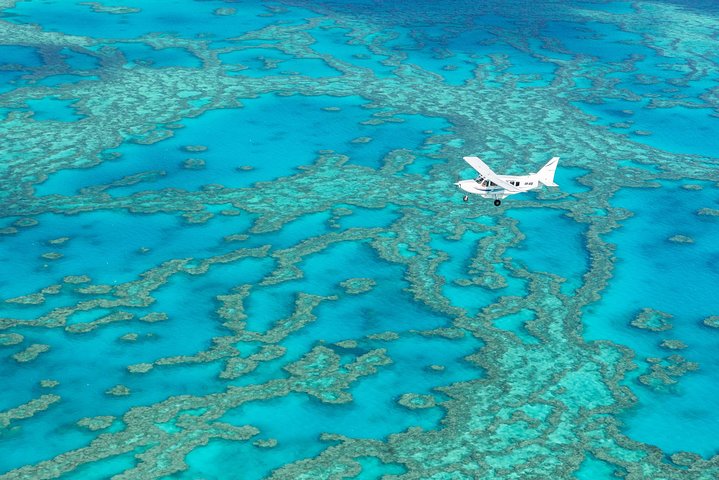 Fly Raft Package: Whitehaven Beach, Snorkel and Scenic Flight