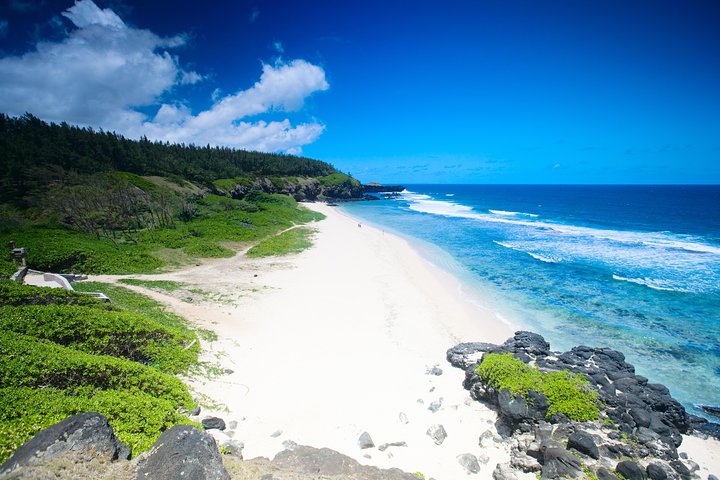 Enchanting South West - Full Day Tour with CASELA Park and Lunch