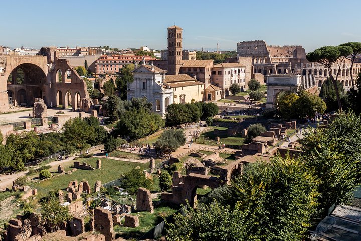 Rome: Colosseum, Roman Forum and Palatine Hill Guided Tour
