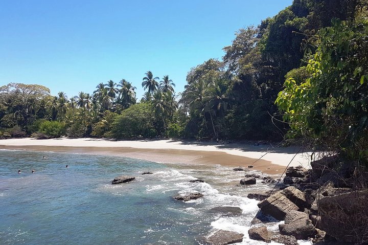Manuel Antonio National Park Sightseeing and Wildlife Day Tour from San Jose