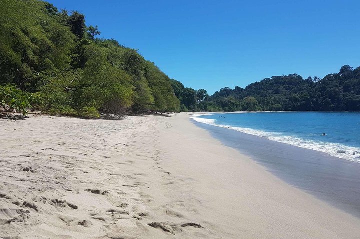 Manuel Antonio National Park Sightseeing and Wildlife Day Tour from San Jose