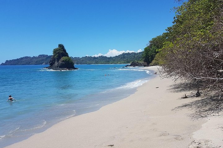 Manuel Antonio National Park Sightseeing and Wildlife Day Tour from San Jose