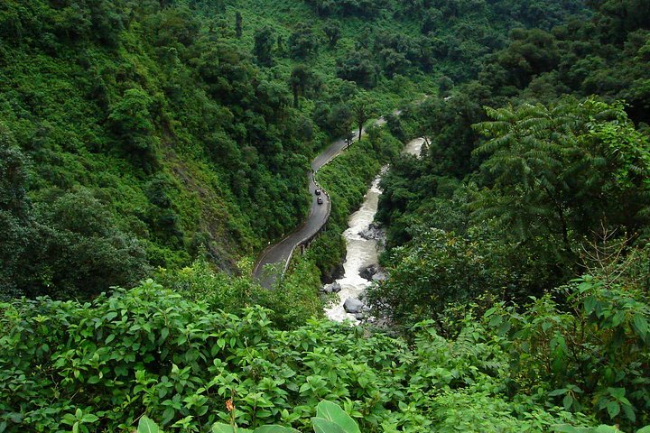 Yungas Half-Day Tour from Tucuman