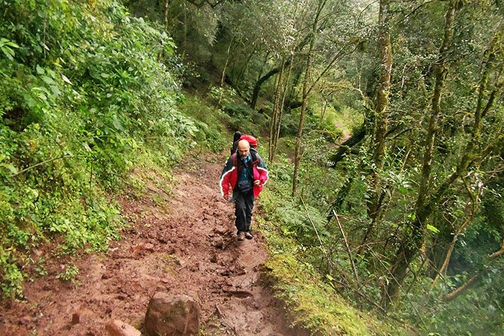 Yungas Half-Day Tour from Tucuman