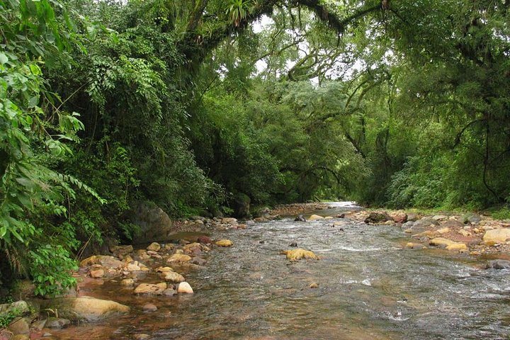 Yungas Half-Day Tour from Tucuman