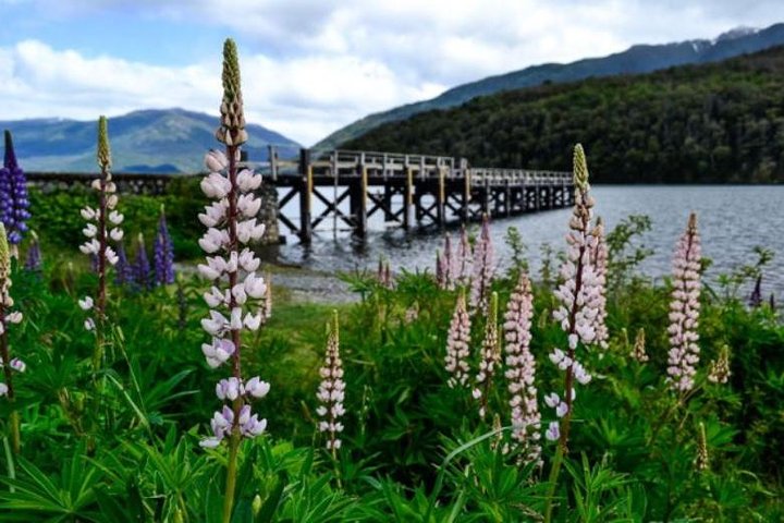 Hua Hum Day Trip and Lanin National Park