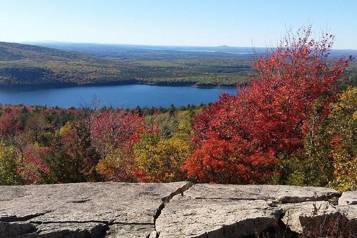 Narrated Bus Tour of Bar Harbor and Acadia National Park