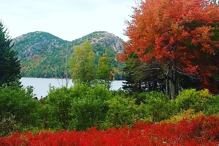 Narrated Bus Tour of Bar Harbor and Acadia National Park