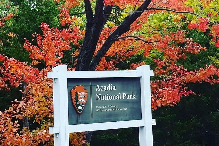 Narrated Bus Tour of Bar Harbor and Acadia National Park