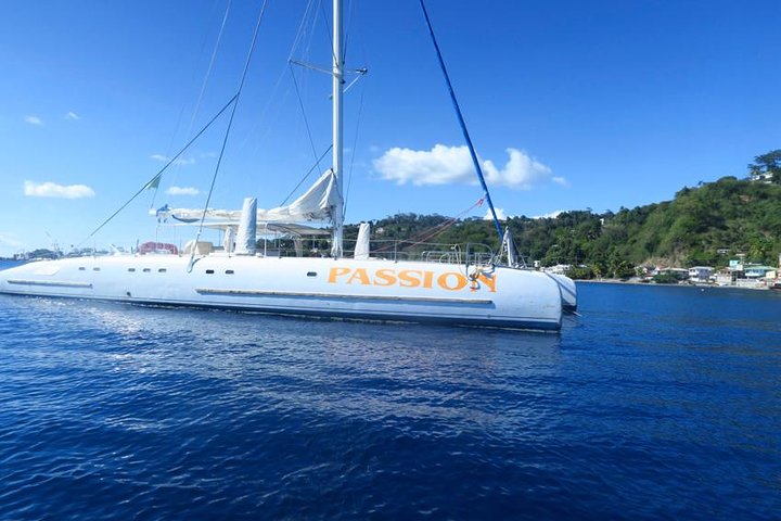 Waitukubuli Dolphin and Whale Watch in Dominica