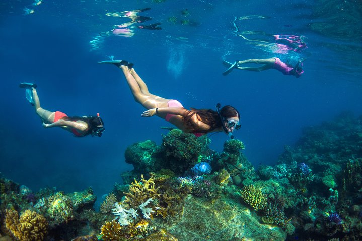 Captain Cook Cruises Fiji- All-inclusive Island & Reef Day Sail