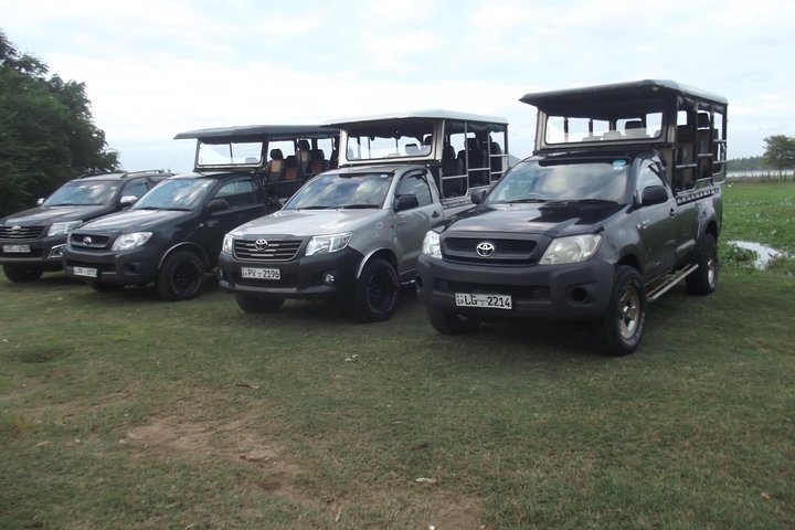 Special Leopards and Elephants safari - 04.30 am to 11.30 am