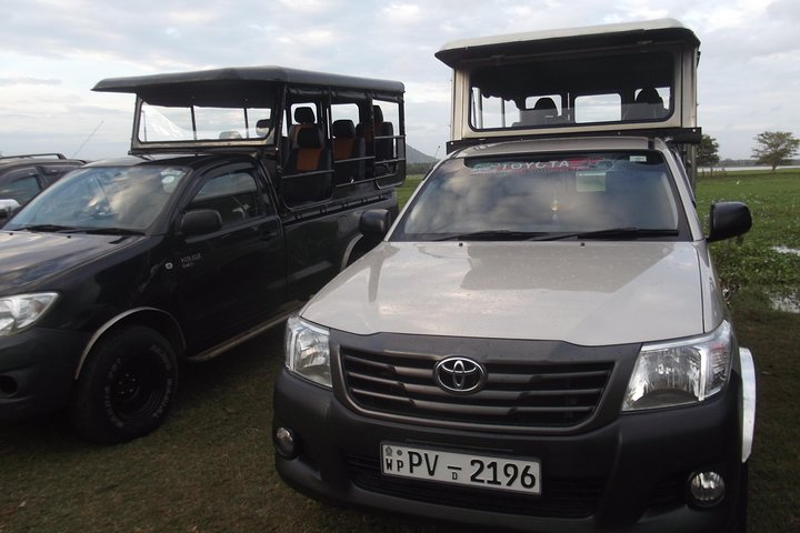 Special Leopards and Elephants safari - 04.30 am to 11.30 am