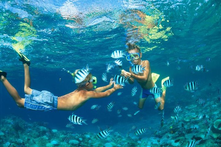 Phi Phi, Maya Bay & Khai Islands Speedboat Tour from Phuket
