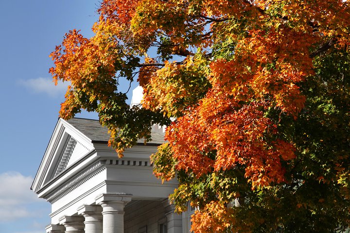 1-hour Walking Tour of Kingston with a local historian