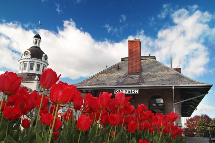 1-hour Walking Tour of Kingston with a local historian