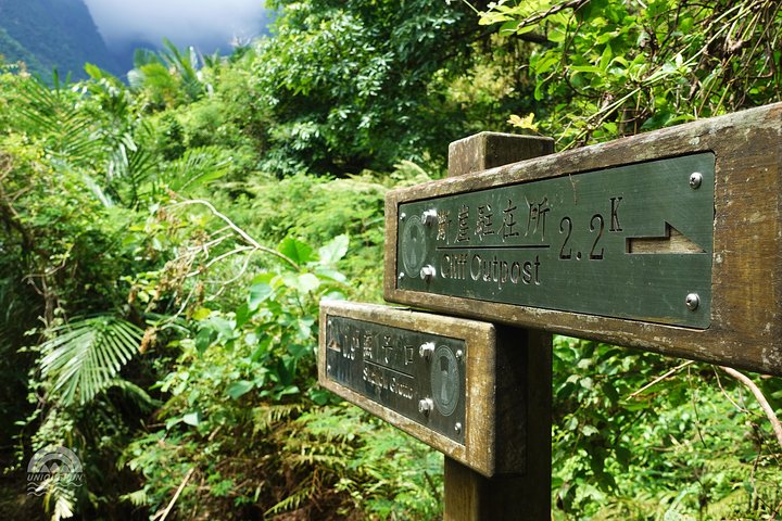 Taroko Zhuilu Old Trail (Group of 4ppl, no shuttle included.)