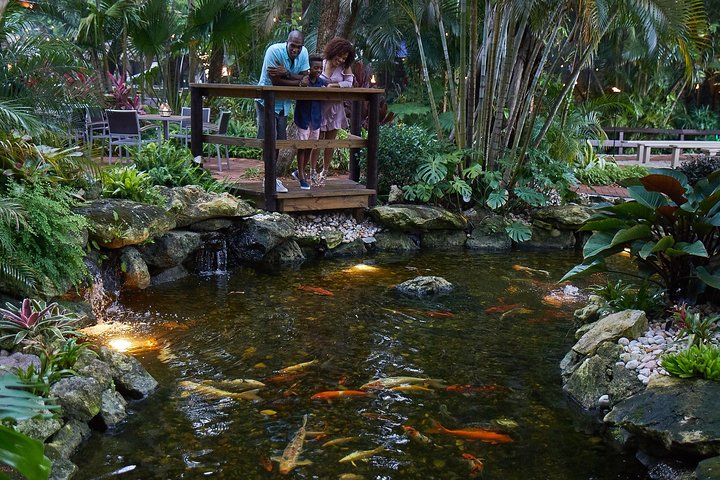 All You Can Eat BBQ Dinner and Show at Tropical Isle with Sightseeing Cruise