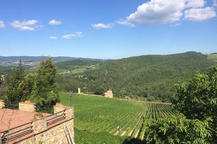Brunello and Montepulciano Wine Tour from Cortona