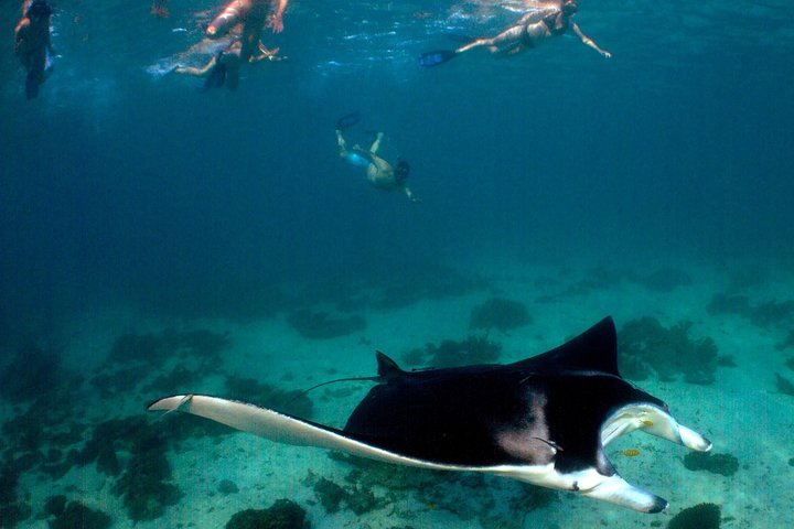 5 Night Ningaloo Reef Ningaloo Escape from Coral Bay