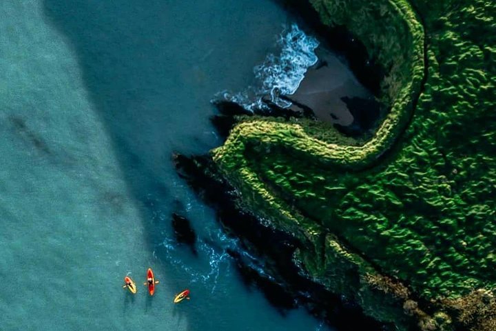 Sea Cave Kayaking Experience