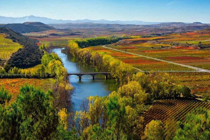 Authentic Rioja Wine Experience