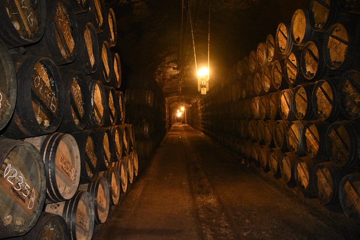 Authentic Rioja Wine Experience